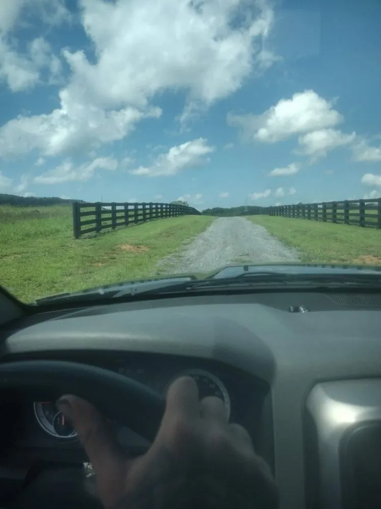 Local yard maintenance for residential properties in LaFayette, GA by S.C.O. Repairman