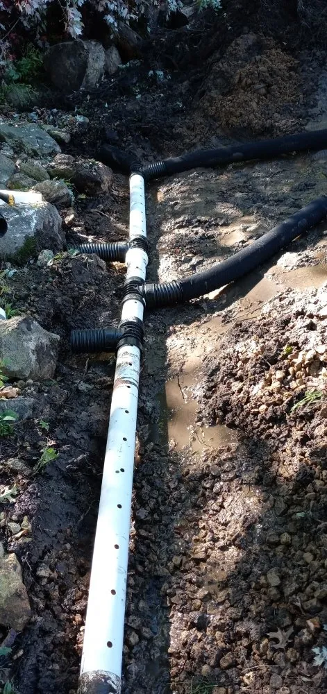 Expert lawn care service in Houlton, WI by Scobey For Hire