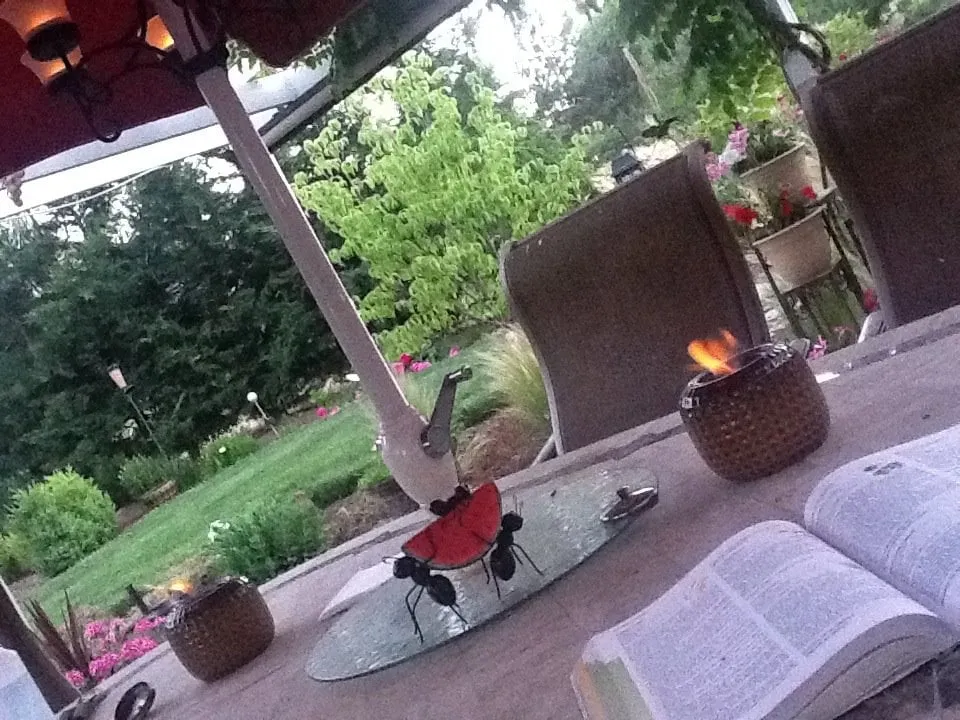 Professional yard maintenance experts serving Jacksonville, OR - Scofield Landscape