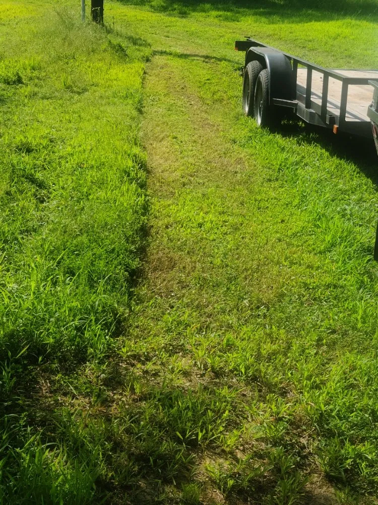 Custom landscape installation for year-round maintenance across Quitman, TX - Scoggins lawn and handyman services