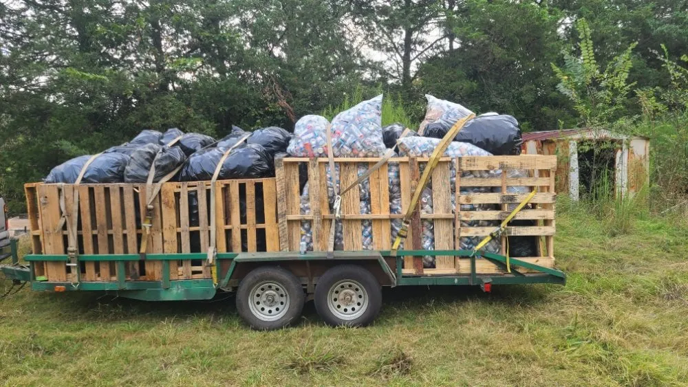 Expert lawn care service in Quitman, TX - Scoggins lawn and handyman services