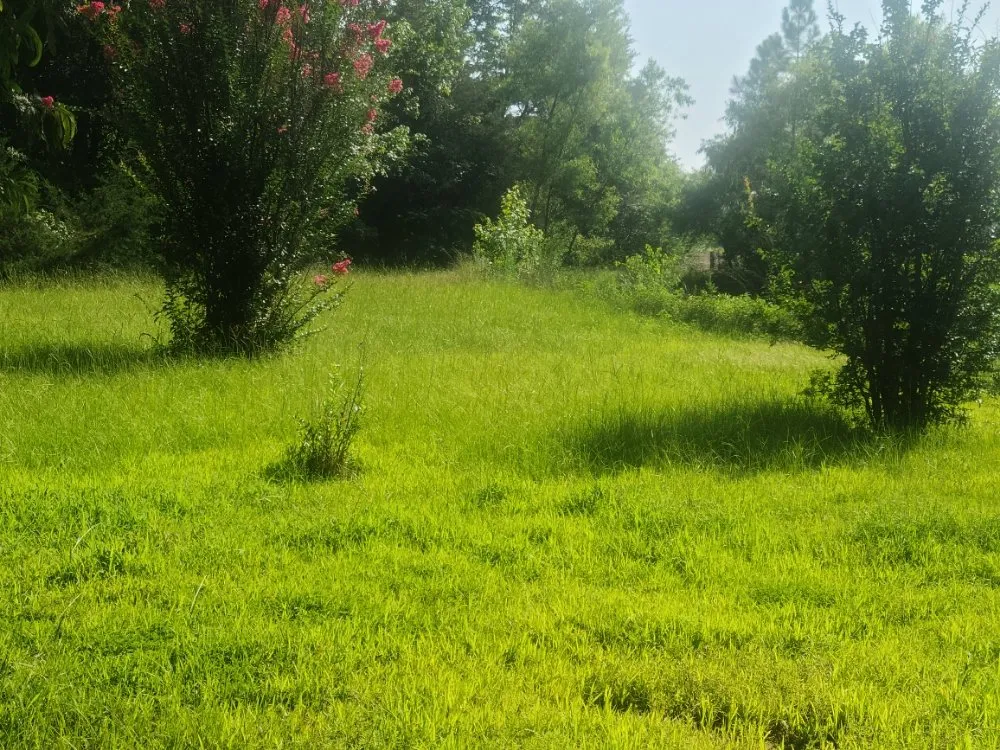 Local lawn mowing service with custom design across Quitman, TX - Scoggins lawn and handyman services