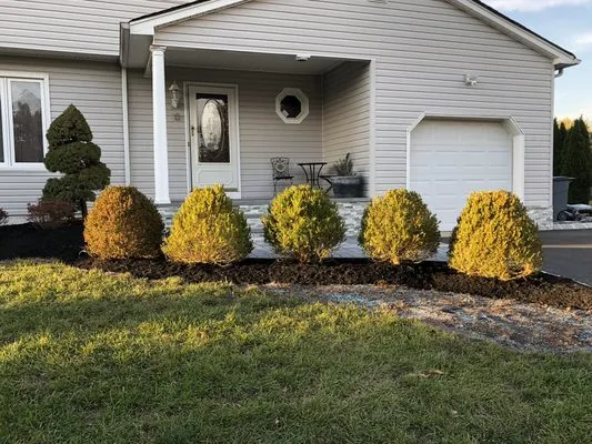 Scola’s Landscaping & Hardscapes Logo