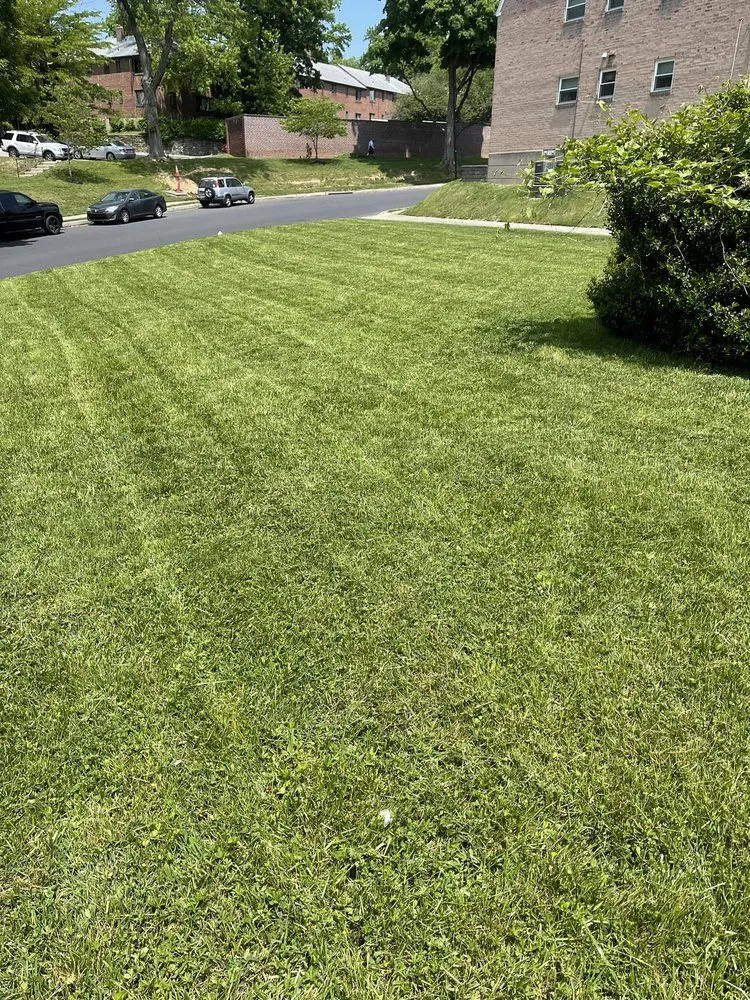 Trusted landscape design experts serving Secane, PA - Scoleri Landscaping