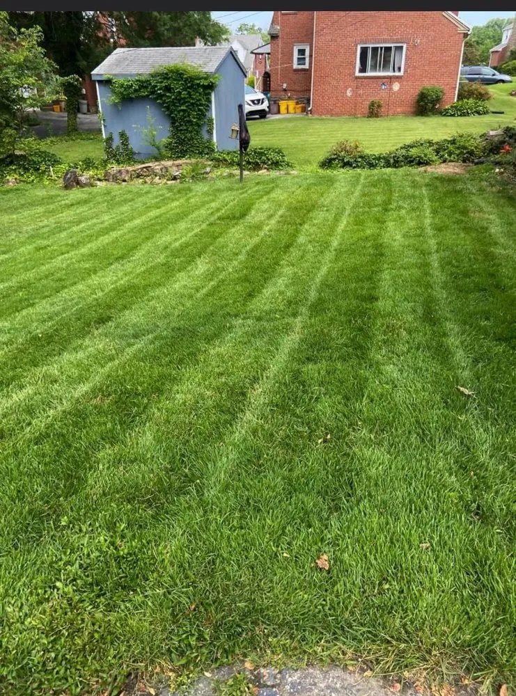 Professional yard maintenance in Secane, PA by Scoleri Landscaping
