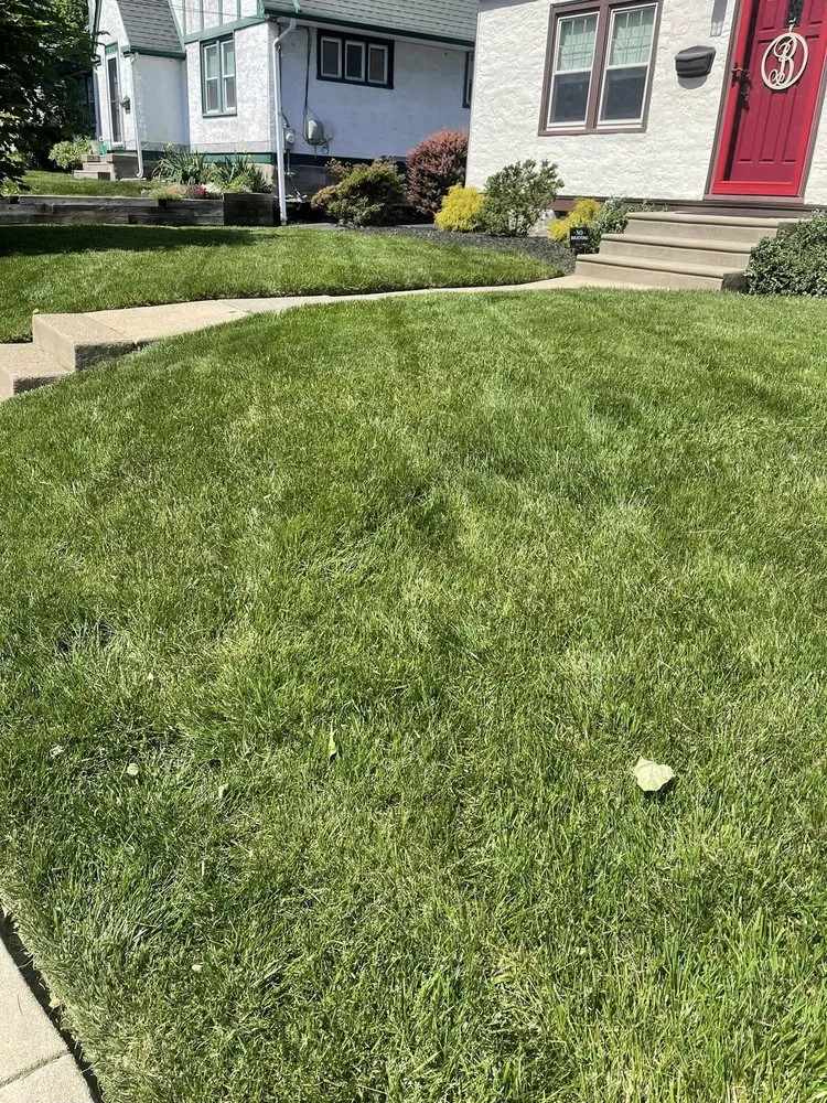 Professional yard maintenance for beautiful yards in Secane, PA by Scoleri Landscaping