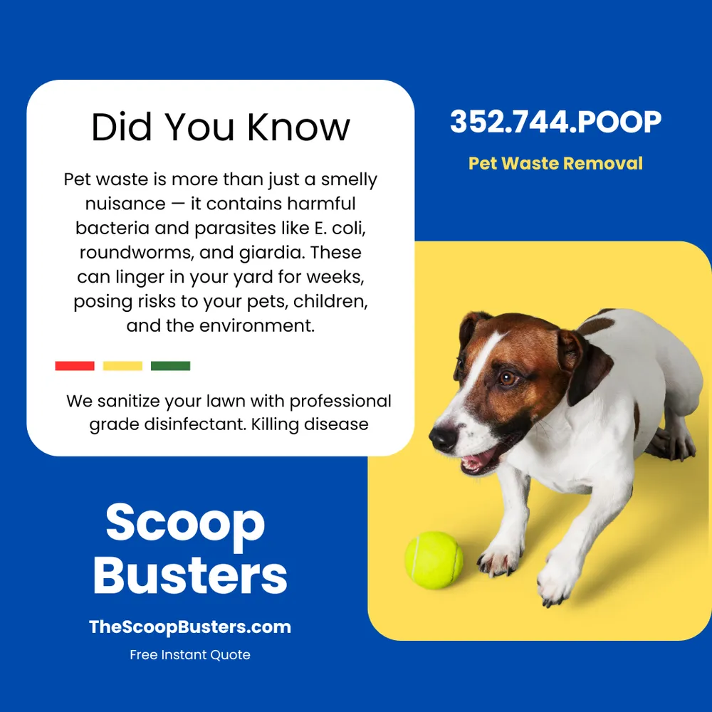 Reliable outdoor landscaping for beautiful yards in Leesburg, FL by Scoop Busters