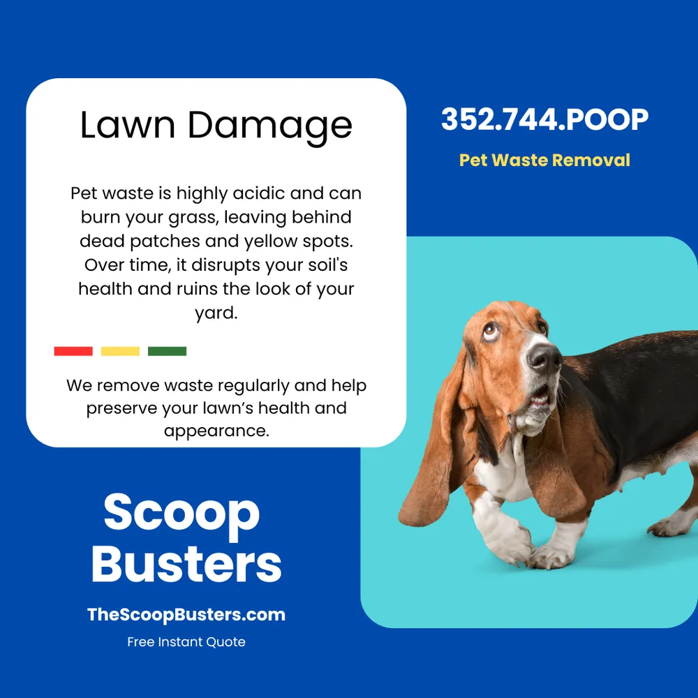 Expert garden landscaping for homes in Leesburg, FL by Scoop Busters