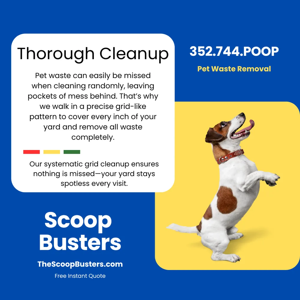 Trusted outdoor landscaping in Leesburg, FL - Scoop Busters