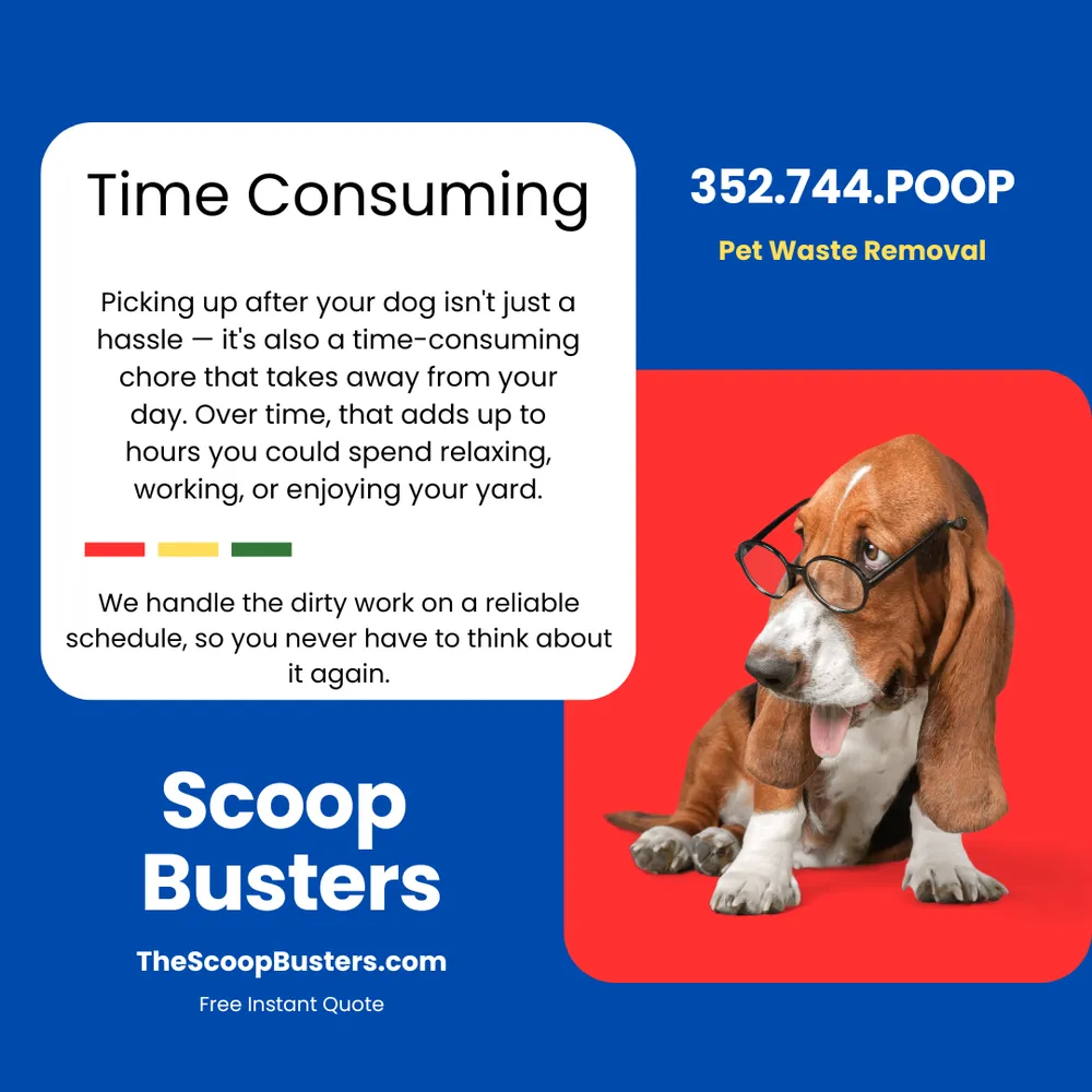 Local outdoor landscaping in Leesburg, FL by Scoop Busters