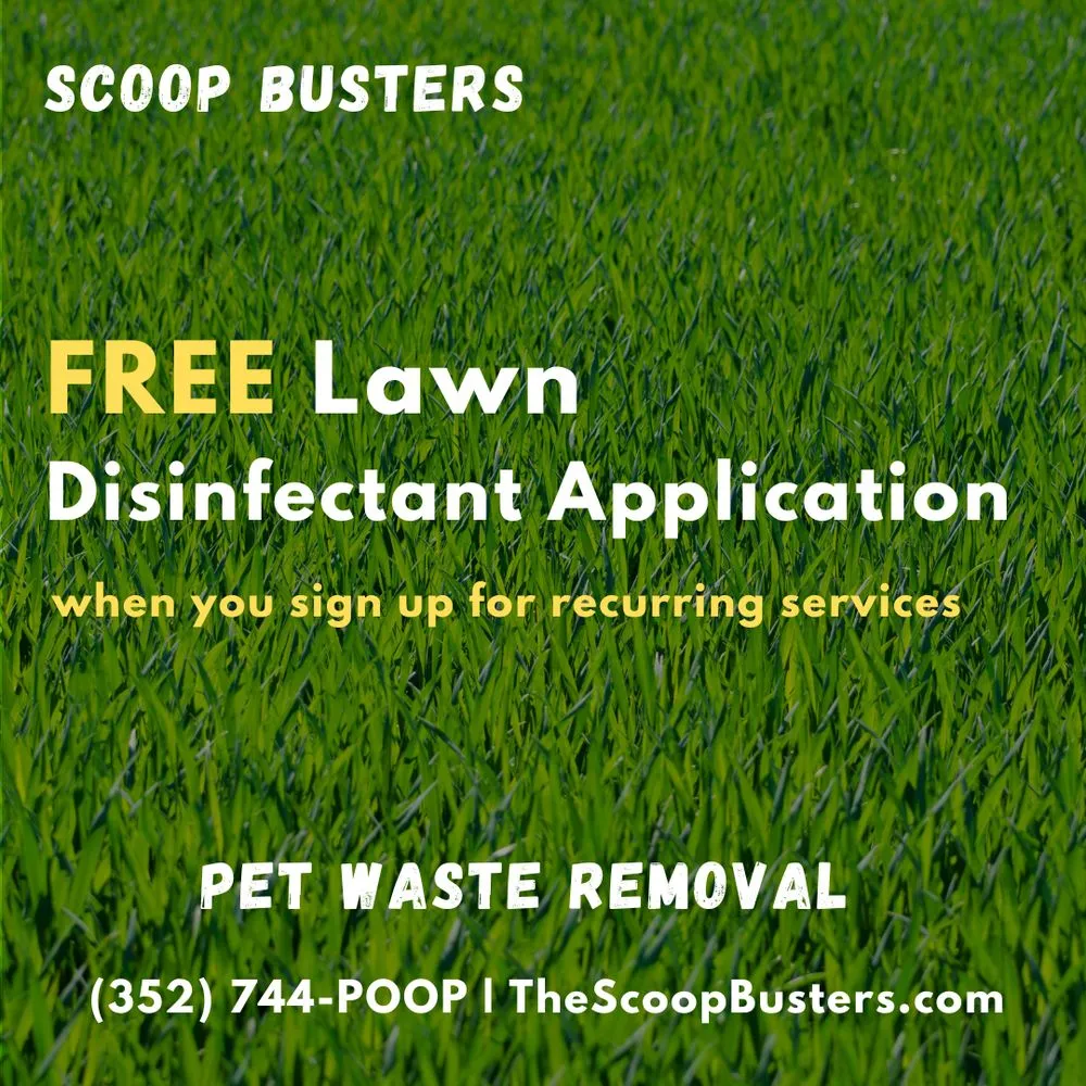 Top-rated yard cleanup service in Leesburg, FL by Scoop Busters