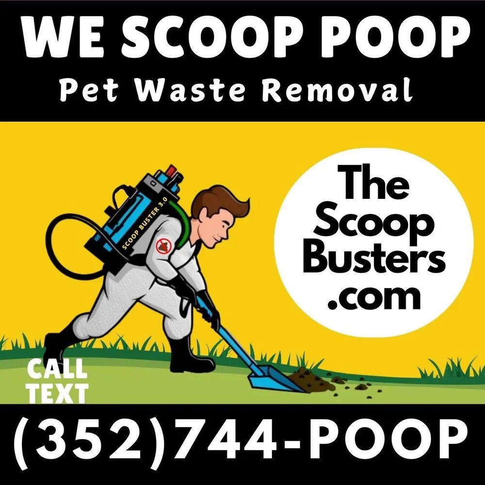 Top-rated outdoor landscaping in Leesburg, FL - Scoop Busters