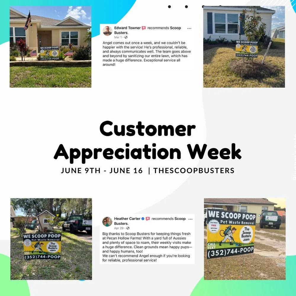 Expert yard cleanup service in Leesburg, FL by Scoop Busters