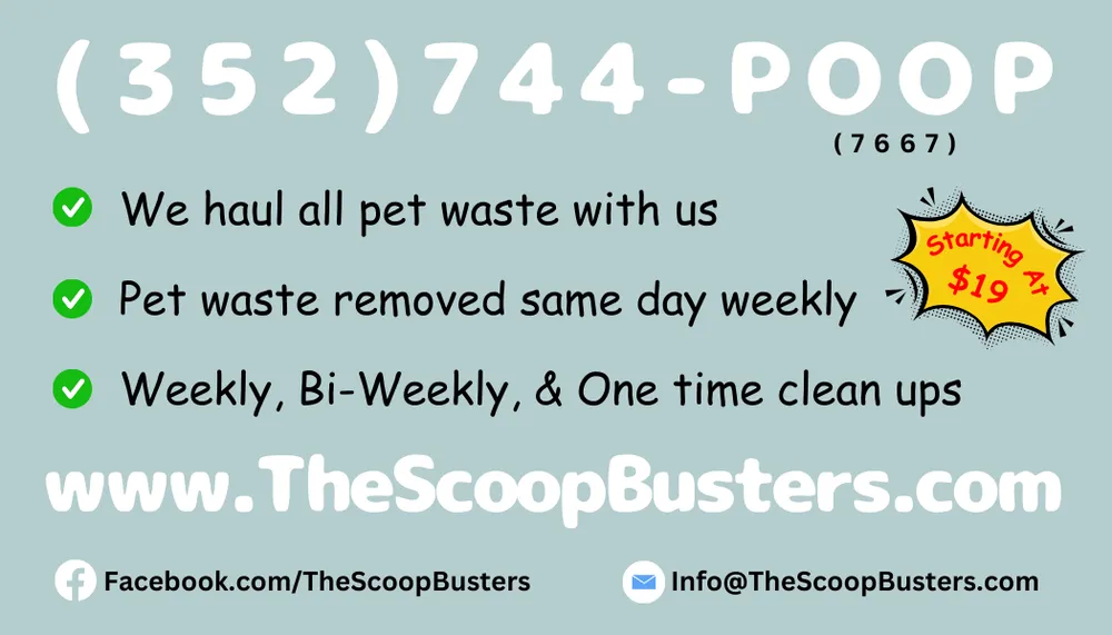 Top-rated yard cleanup service in Leesburg, FL - Scoop Busters