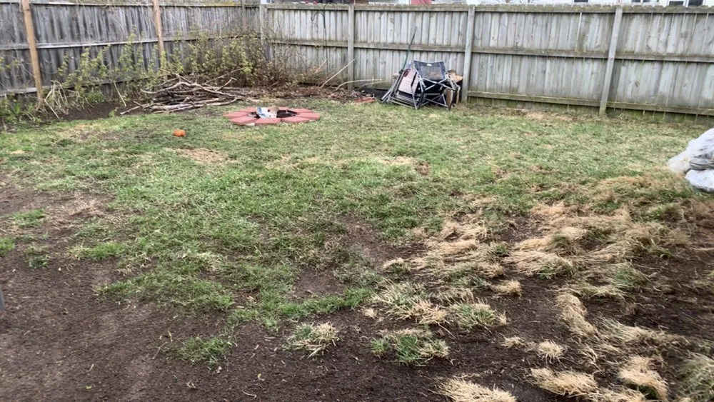 Affordable landscaping services in Stevens Point, WI - Scooper Troopers