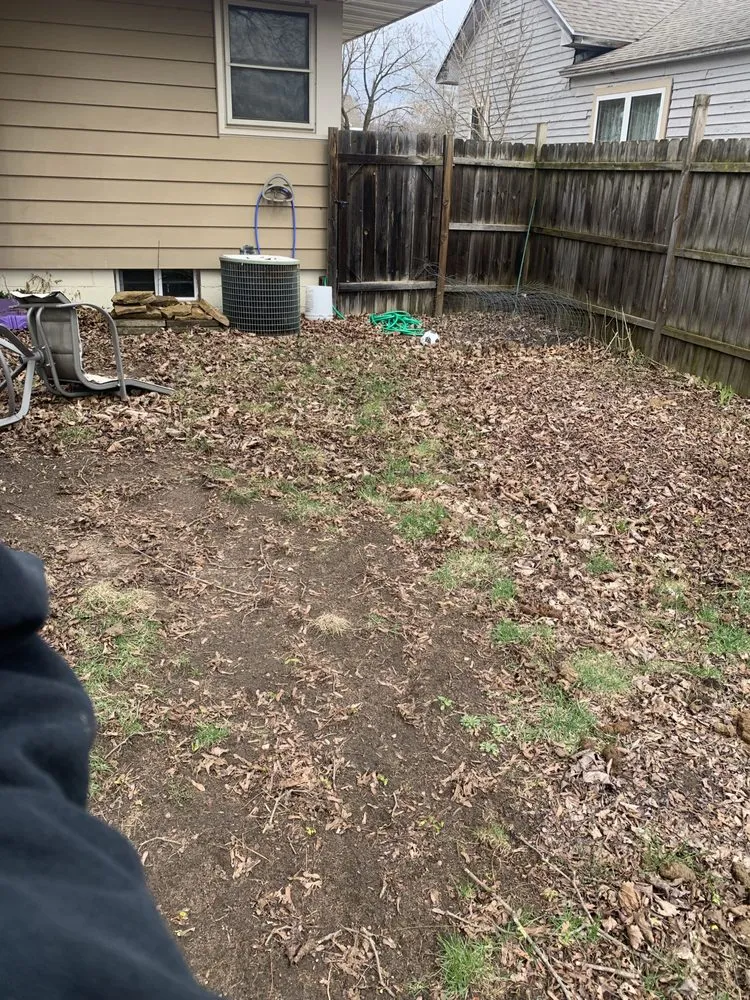 Affordable yard cleanup service for residential properties in Stevens Point, WI by Scooper Troopers