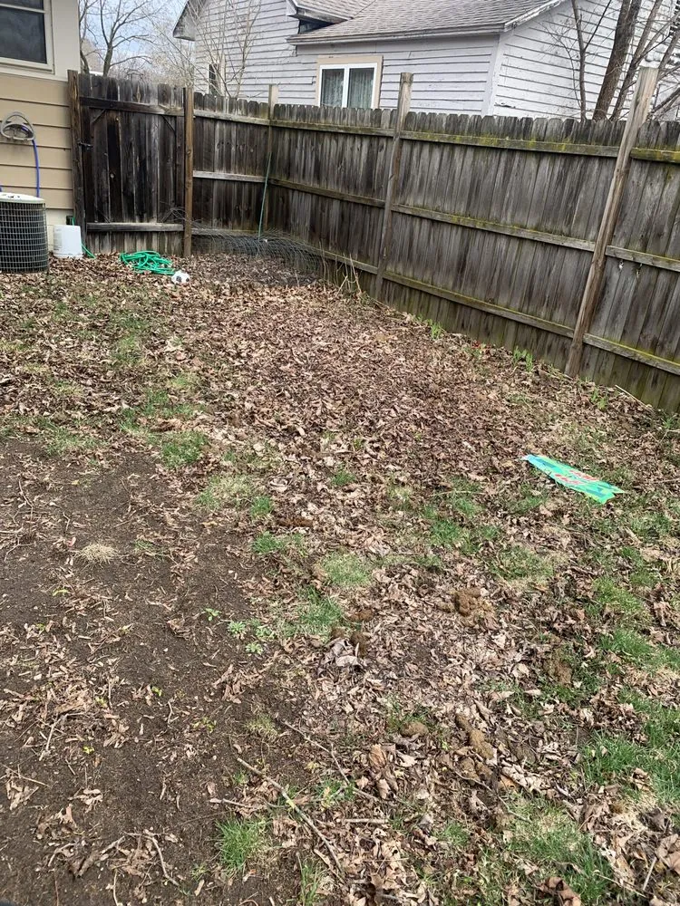 Custom yard cleanup service in Stevens Point, WI by Scooper Troopers