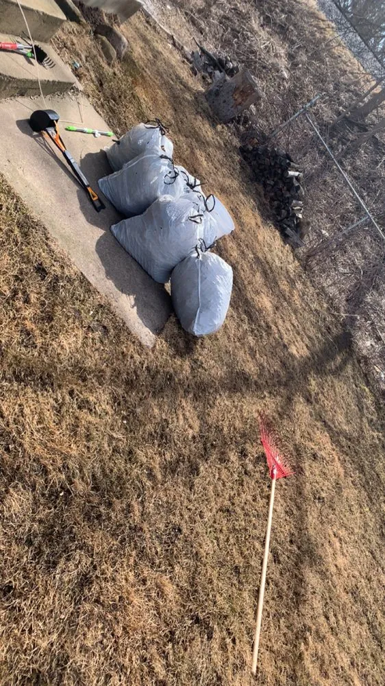 Professional yard cleanup service in Stevens Point, WI by Scooper Troopers