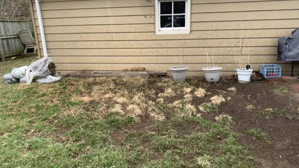 Expert lawn mowing service in Stevens Point, WI by Scooper Troopers