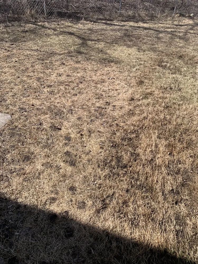 Trusted residential landscaping in Stevens Point, WI - Scooper Troopers