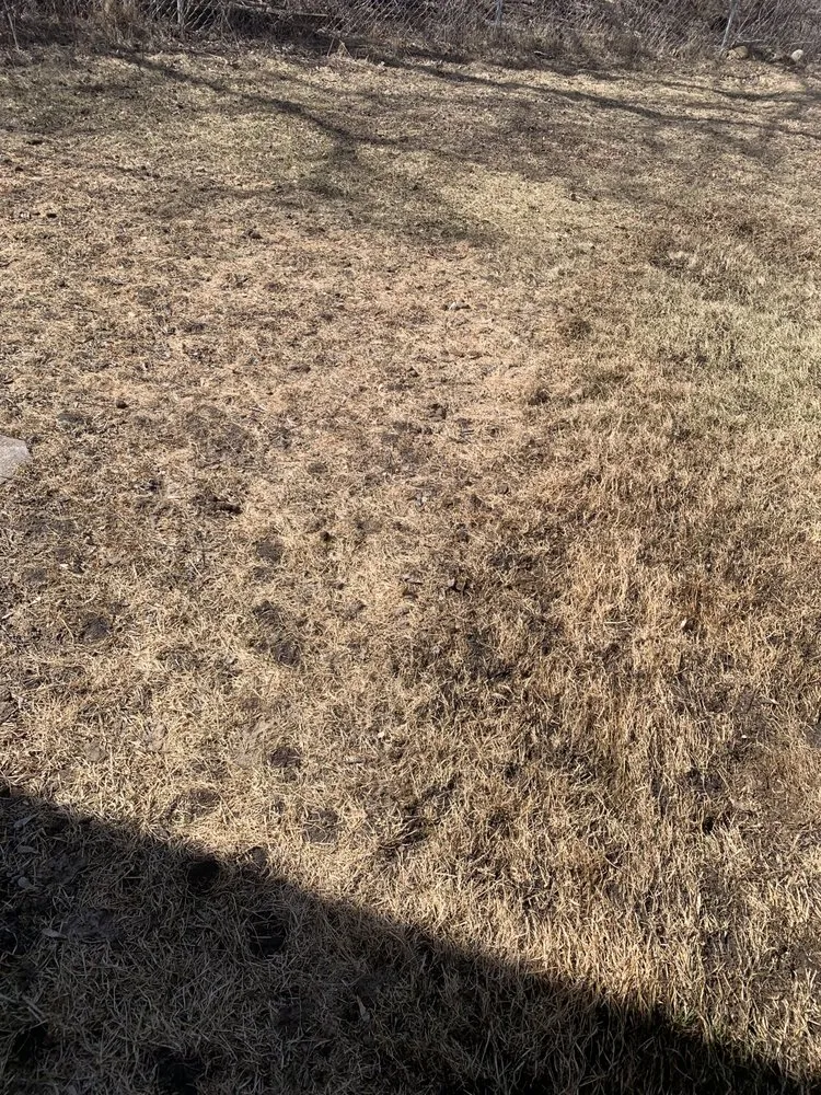 Trusted yard maintenance experts serving Stevens Point, WI - Scooper Troopers