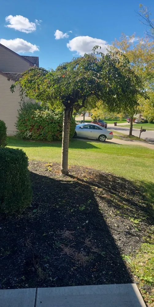 Trusted landscape design in Lockbourne, OH by Scooters Landscapes