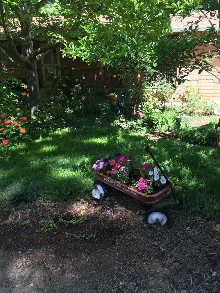 Reliable landscape installation near you in Penn Valley, CA by Scope Landscape Management