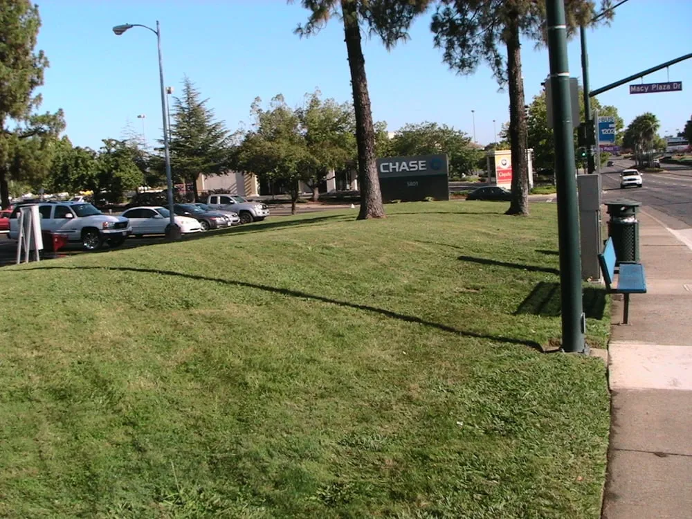 Top-rated lawn care service experts serving Penn Valley, CA - Scope Landscape Management