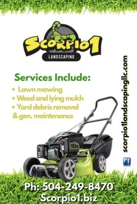 Scorpio 1 Landscaping Logo