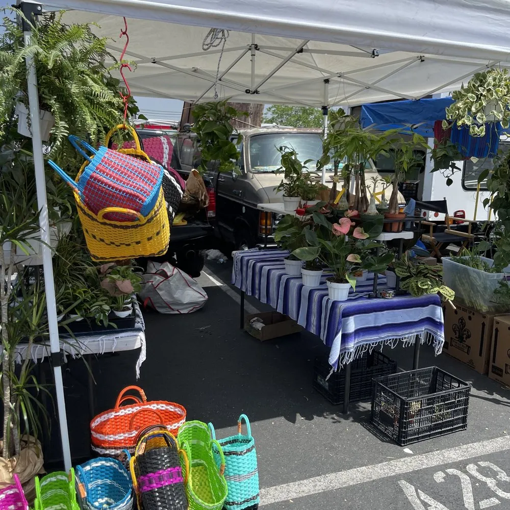 Reliable yard cleanup service in San Fernando, CA by Scorpio Gardens