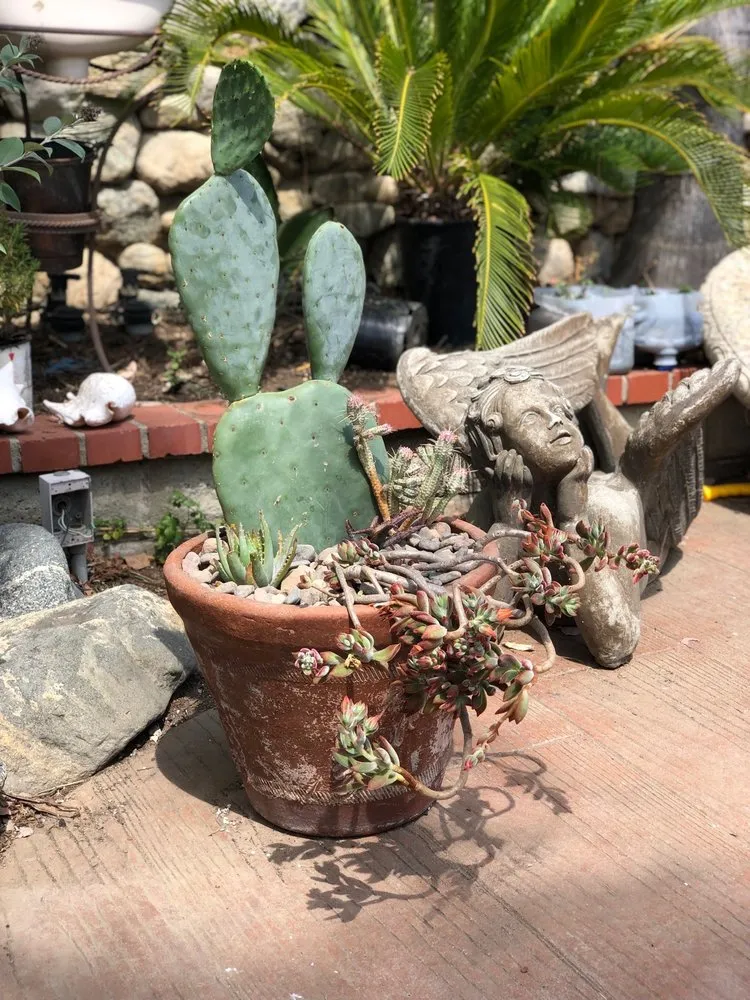 Custom landscaping services experts serving San Fernando, CA - Scorpio Gardens