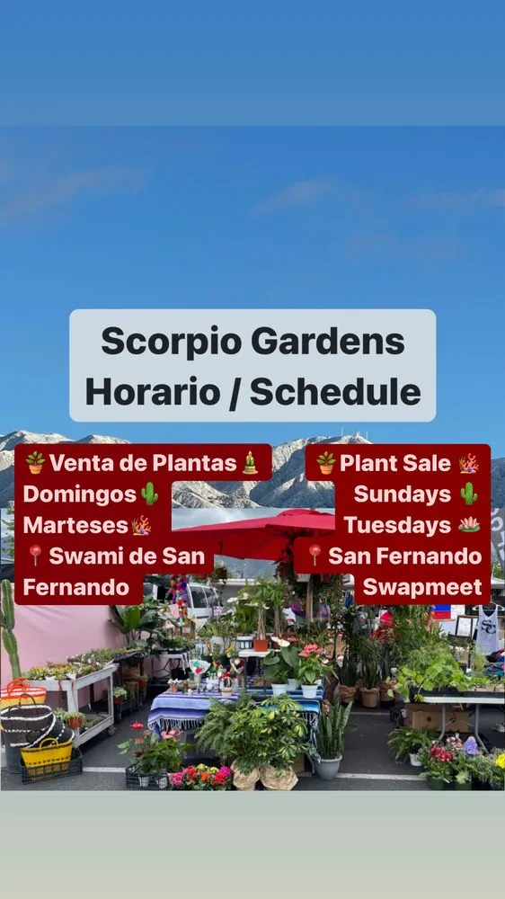 Local lawn care service experts serving San Fernando, CA - Scorpio Gardens