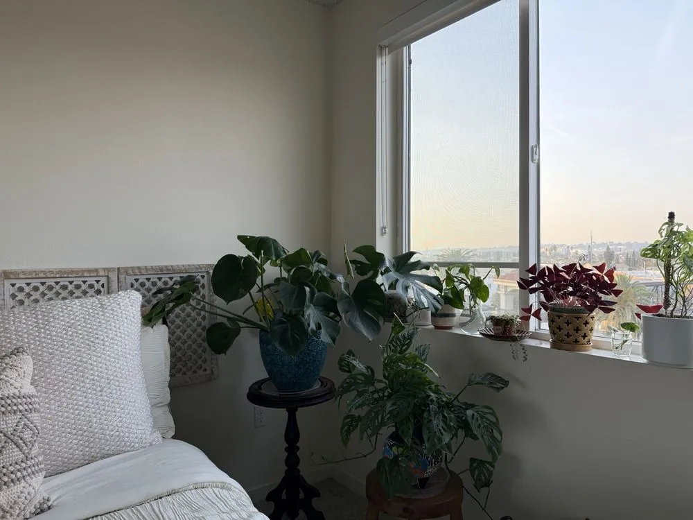 Trusted outdoor landscaping for residential properties across San Fernando, CA - Scorpio Gardens