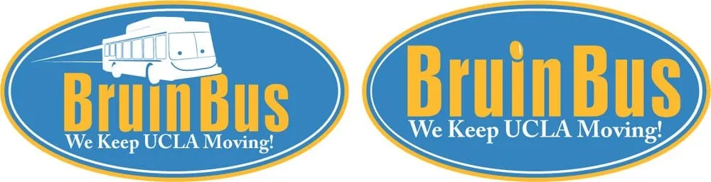 Expert yard cleanup service in San Fernando, CA - Scorpio Gardens