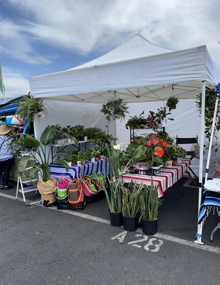 Affordable lawn mowing service in San Fernando, CA - Scorpio Gardens