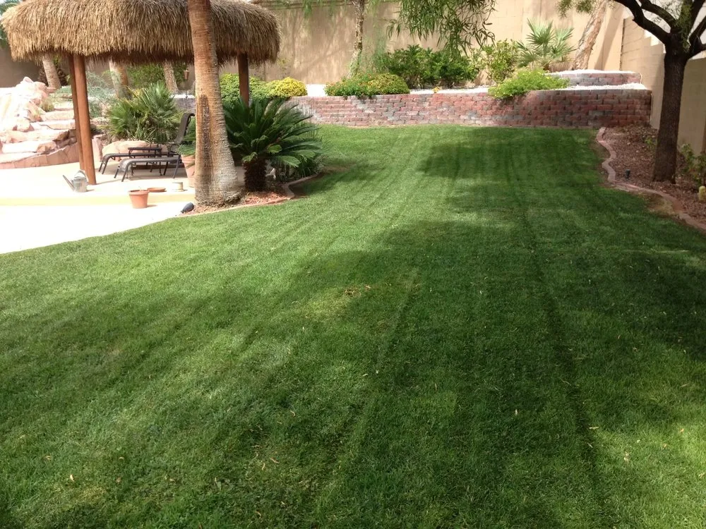 Top-rated yard maintenance in Las Vegas, NV - Scorpion Landscape