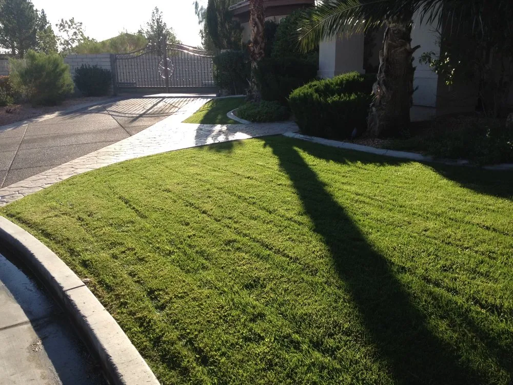 Custom landscape design in Las Vegas, NV - Scorpion Landscape