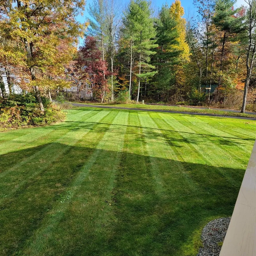 Top-rated lawn mowing service in Warrensburg, NY by Scotch Pine Lawn and Landscaping