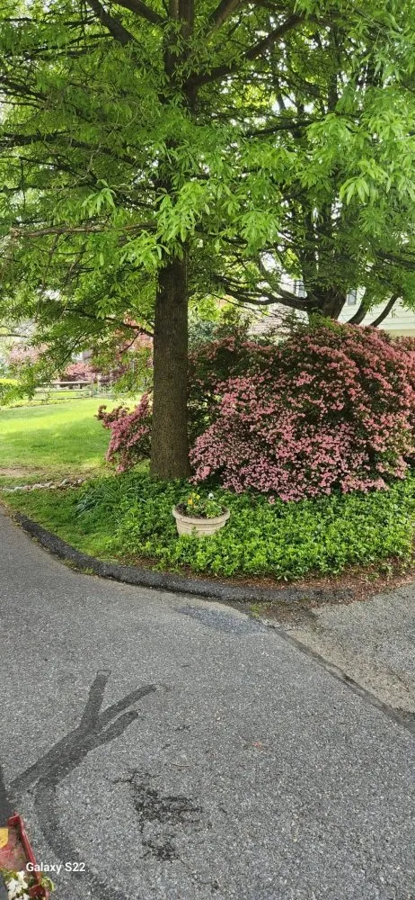 Expert lawn mowing service for residential properties in Laurinburg, NC by Scotland County Landscaping