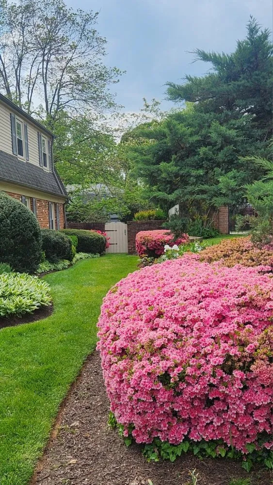 Top-rated landscape design in Laurinburg, NC - Scotland County Landscaping