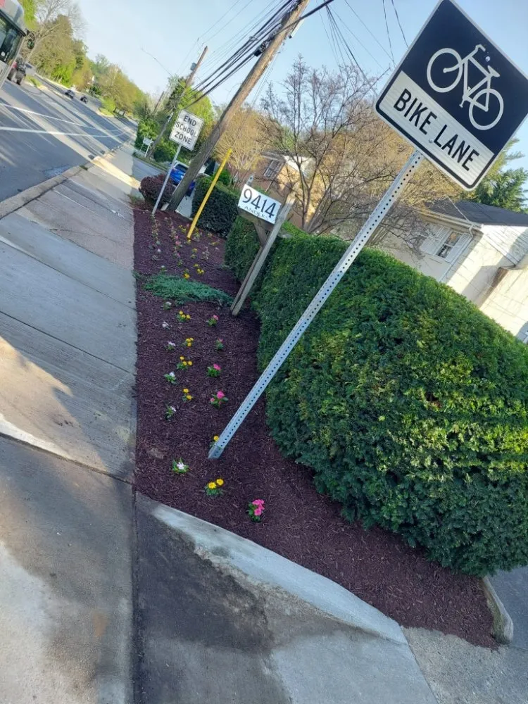 Expert landscape design for beautiful yards across Laurinburg, NC - Scotland County Landscaping