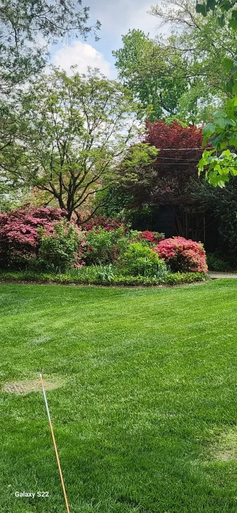 Affordable lawn care service experts serving Laurinburg, NC - Scotland County Landscaping