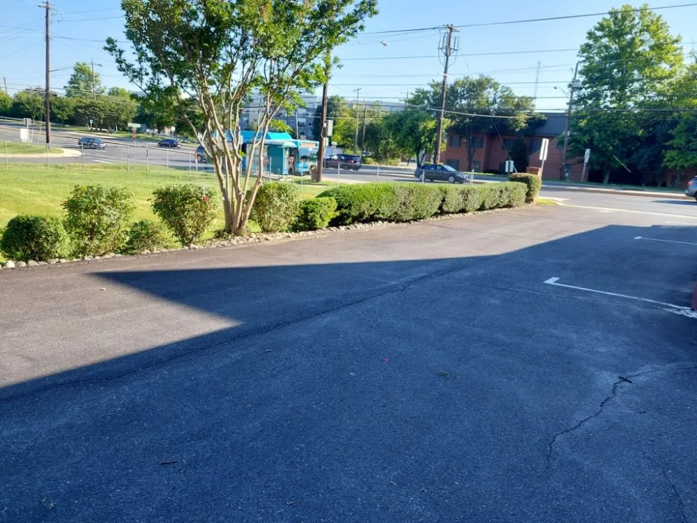 Top-rated yard cleanup service in Laurinburg, NC - Scotland County Landscaping