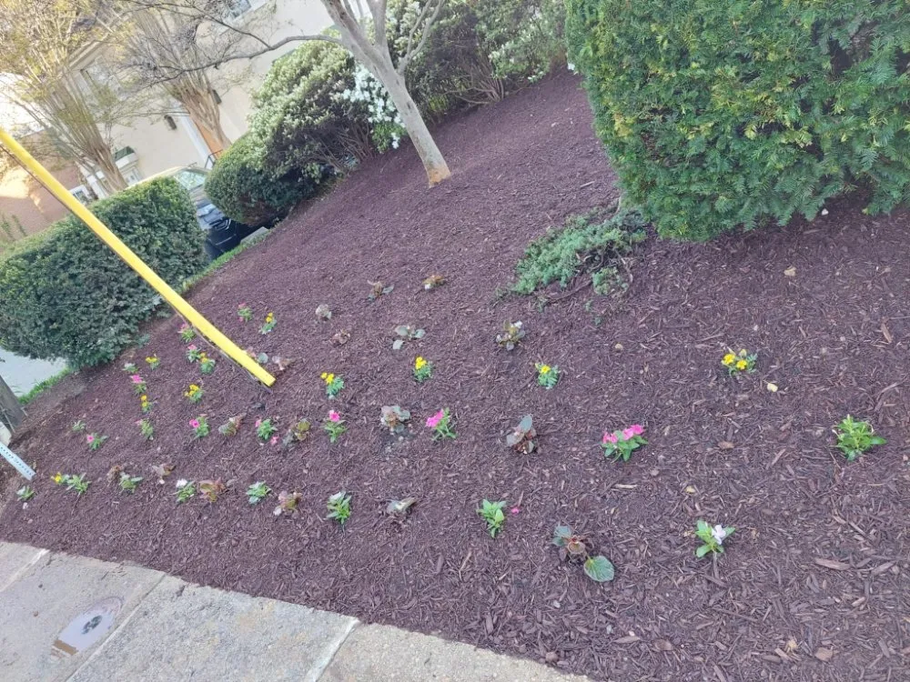 Local yard maintenance in Laurinburg, NC - Scotland County Landscaping