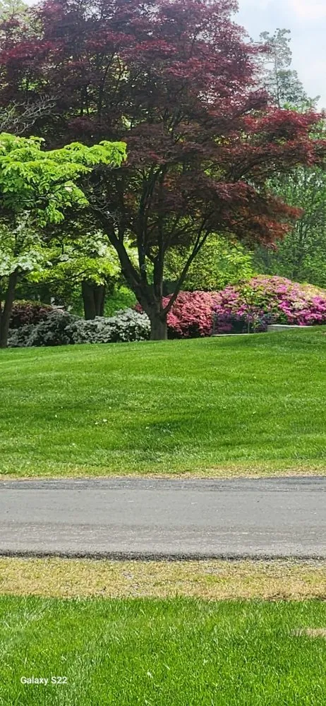 Custom landscape installation in Laurinburg, NC - Scotland County Landscaping