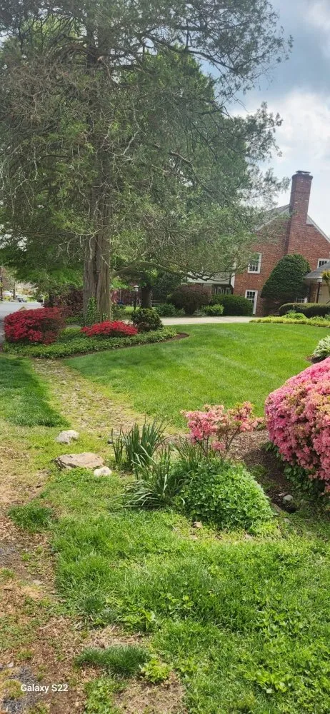 Custom landscape installation for homes in Laurinburg, NC by Scotland County Landscaping