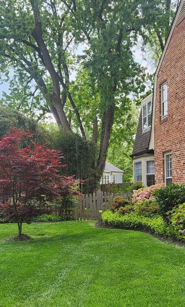 Trusted landscaping services experts serving Laurinburg, NC - Scotland County Landscaping