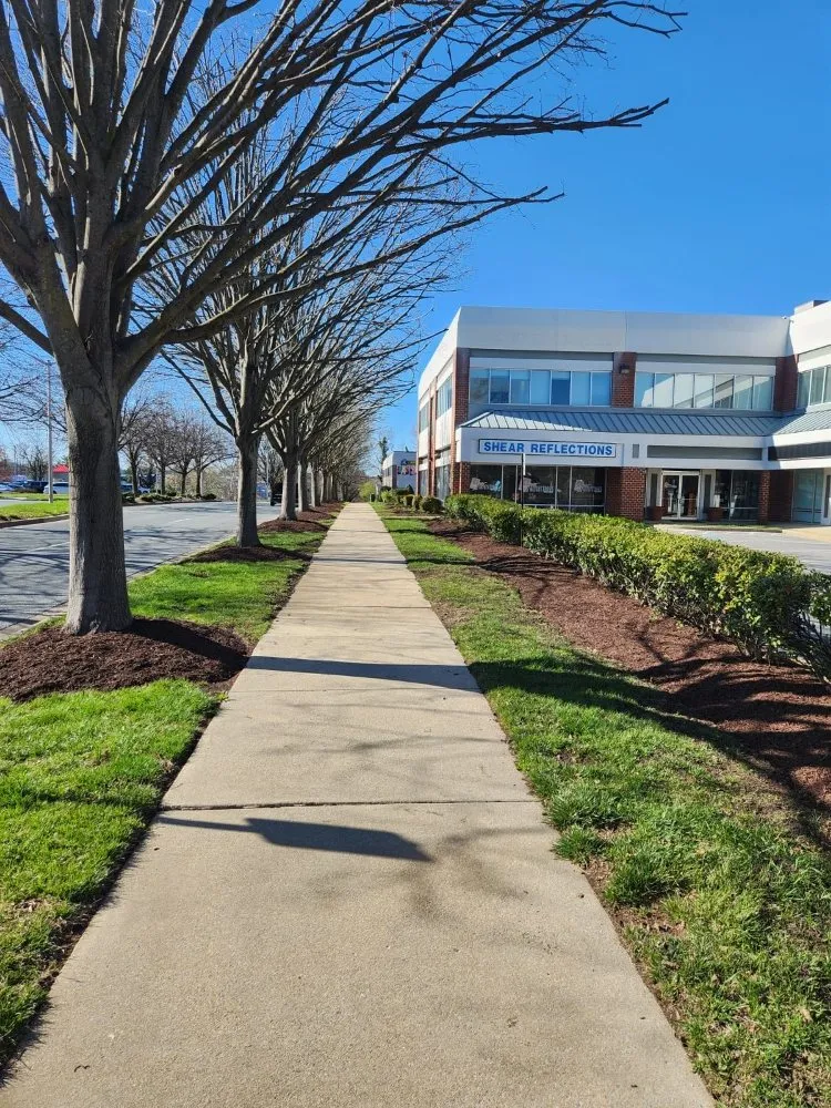 Professional landscaping services experts serving Laurinburg, NC - Scotland County Landscaping