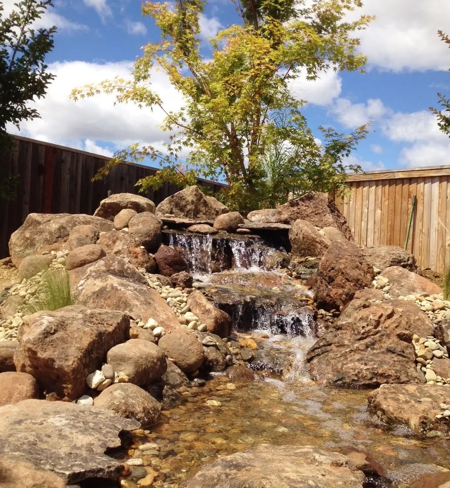 Local yard cleanup service in Vacaville, CA - Scotland Yards Landscaping