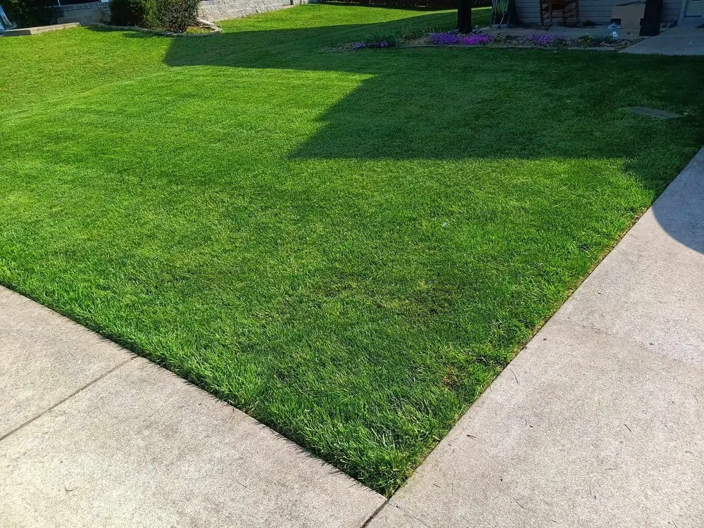 Professional lawn care service for outdoor upgrades in Clarksville, TN by Scotsmans Lawn Care